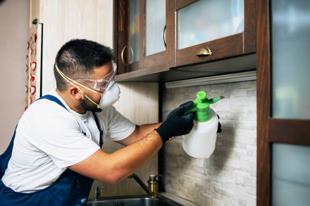 Best Bed Bug Extermination  in Gberts, IL
