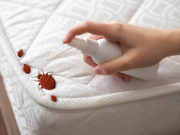 Best Insect Control  in Gberts, IL
