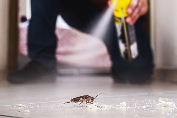 Best Best Pest Control Near Me  in Gberts, IL